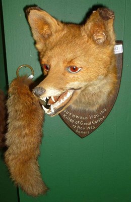 Lot 342 - Fox Mask, F W Barlett, 23 High Street, Banbury, Southwold Hounds, Killed at Great Caritor, 12...