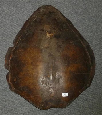 Lot 405 - Green Turtle (Chelonia mydas), 18th/19th century, carapace, internally painted and with old...