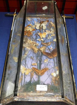 Lot 414 - A Pair of Victorian Moth and Butterfly Displays, circa 1875, by Pratt & Sons, 15 Cranbourne Street