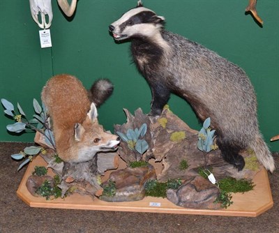 Lot 416 - A Badger and Fox Group, late 20th century, full mounts, the badger upstanding on a sea-washed...