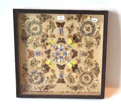 Lot 468 - A Late Victorian Collage Display of Diverse Butterflies, in glazed case, 52cm square...