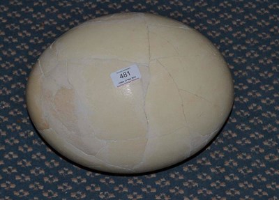 Lot 481 - Elephant Bird (Aepyornis maximus), egg, 33cm high, 22cm diameter, made up from fragments...