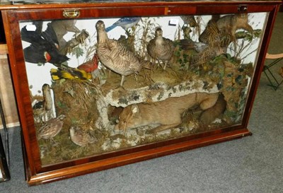 Lot 490 - A Late Victorian Taxidermy Group, circa 1890, of a full mount Fox creeping below a rocky...