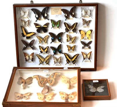 Lot 494 - Papilionidae (Swallowtails), a group of twenty-four selected World Swallowtails, including...