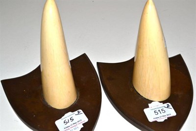 Lot 515 - African Elephant (Loxodonta africana), circa 1940, tusk tips on original bakelite shields, 13cm and