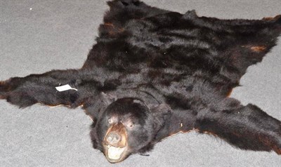 Lot 552 - Black Bear (Ursus americanus), Alaska 1980, rug with head mount, jaw agape, 178cm long, 185cm...