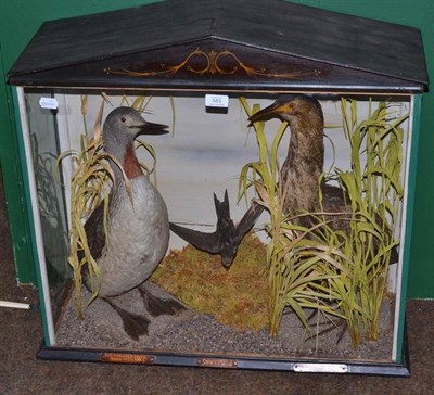 Lot 583 - A Group of Three Full Mount Taxidermy Birds, circa 1900, comprising Red-Throated Diver (Gavia...