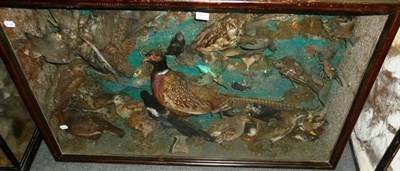 Lot 613 - A Late Victorian Taxidermy Display of Birds, including two Sparrowhawks, Kestrel, Cuckoo,...