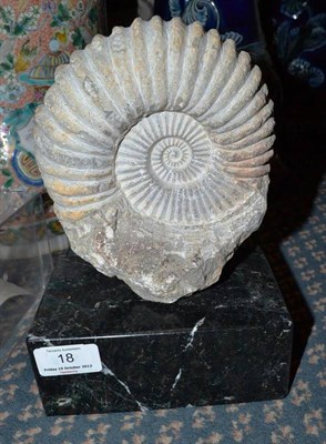 Lot 18 - A Jurassic Period Ammonite, approx 150 million years old, on fossil marble base, 24cm high overall