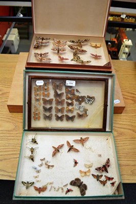 Lot 40 - Five Assorted Store Boxes of British and Foreign Butterflies and Moths  With Class Licence...