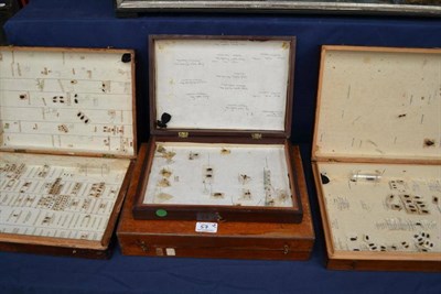 Lot 57 - Six Wooden Store Boxes, containing Dr Willoughby Gardner duplicate insection collection of...