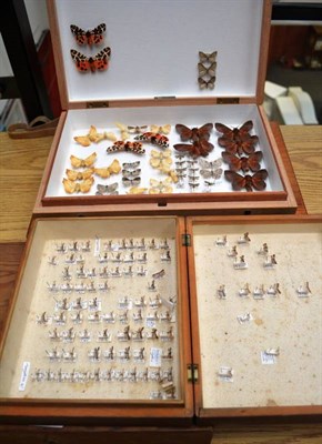 Lot 81 - Five Wooden Store Boxes, containing a selection of British and Foreign butterflies and moths...