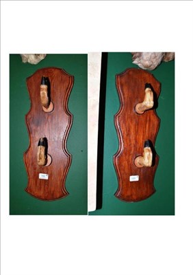 Lot 100 - A Pair of Coat Hooks, fashioned as pairs of deer slots, on shaped and stained wood plaque,...