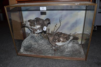 Lot 157 - Ptarmigan (Lagopus mutus), late 20th century, pair of full mounts, naturalistically posed in...