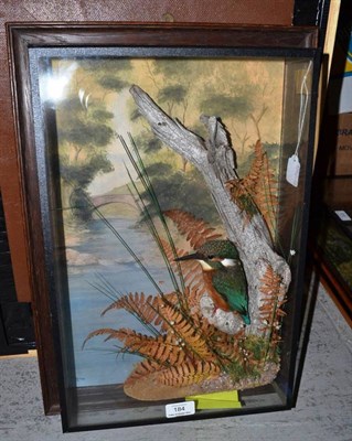 Lot 184 - Kingfisher (Alcedo atthis), by A J Armistead of Darlington, full mount, perched on an old...