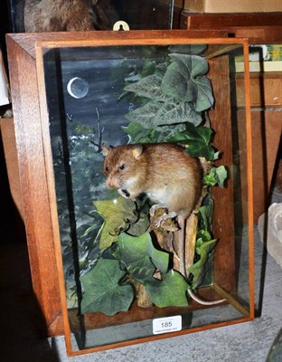 Lot 185 - Brown Rat (Rattus norvegicus), by A J Armistead, Darlington, full mount, amongst ivy leaves,...