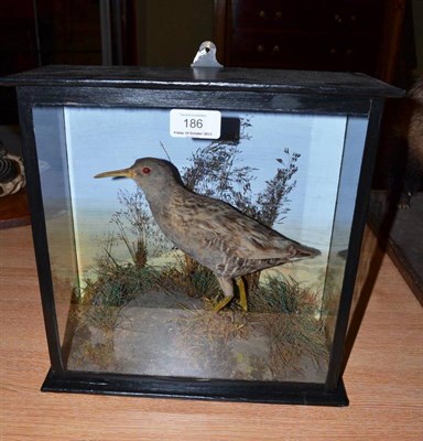 Lot 186 - Water Rail (Rallus aquaticus), circa 1900, full mount, stalking amongst grasses on faux rocks, in a