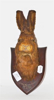 Lot 217 - Hare (Lepus capensis), Little Munden Farm, Jan 7 1905, 1hr 25mins, by Peter Spicer & Sons, head...