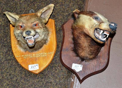 Lot 227 - Fox Mask (Vulpes vulpes), Old Surrey and Burstow, 19th October 1955, by Edward Gerrard & Sons,...