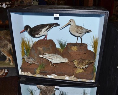 Lot 236 - A Group of Five Taxidermy Wading Birds, by B Cook, Taxidermist, Renshaw St, Liverpool, circa...