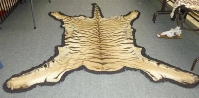 Lot 253 - Tiger (Panthera tigris), circa 1934, by Van Ingen & Van Ingen, skin rug, 253cm long, 237cm wide...