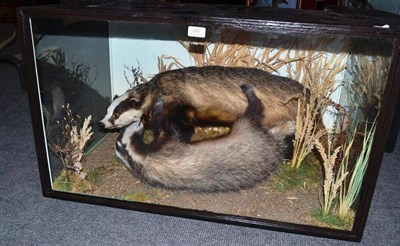 Lot 270 - Badger (Meles meles), by John Burton, Taxidermist, late 20th century, two full mounts, modelled...