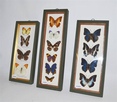 Lot 271 - Three Glazed Collections of Foreign Decorative Butterflies, in green painted frames, the...