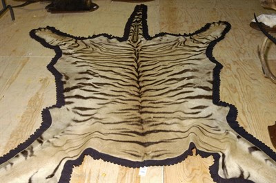 Lot 155 - Tiger (Panthera tigris), circa 1934, by Van Ingen & Van Ingen, skin rug, 253cm long, 237cm wide...