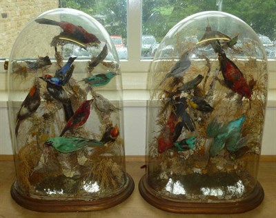 Lot 202 - Two Victorian Taxidermy Bird Displays, preserved and mounted on branches amidst grasses, under...