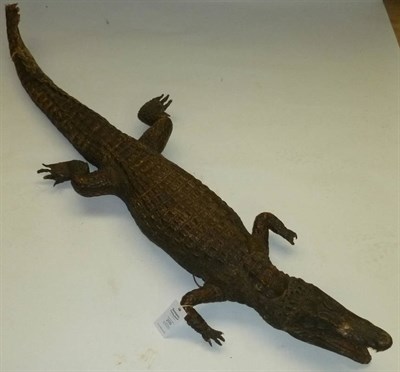 Lot 209 - Crocodile, circa 1900, full mount, 133cm long (a/f)