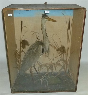 Lot 213 - A Group of Three Taxidermy Birds, circa 1890, comprising Merlin and a pair of Sparrowhawks...