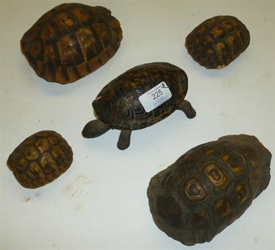 Lot 225 - Four Various Small Tortoise Shells, the largest 15cm long; and An Iron and Tortoise Shell...