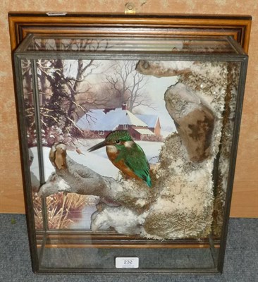 Lot 232 - Kingfisher (Alcedo atthis), modern, full mount, perched on faux snow dusted branches with a...