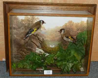 Lot 238 - Goldfinch (Carduelis carduelis), by A Armistead, Darlington, 2002, two taxidermy specimens around a