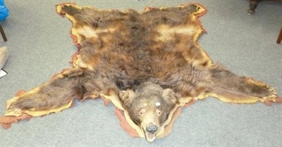 Lot 257 - Brown Bear (Ursus arctos), circa 1930, rug with head mount, with open jaw, backed onto mustard...