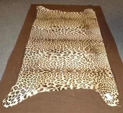 Lot 260 - A Leopard Skin Rug, made up of three skins with no heads or claws, with a brown cloth backing,...