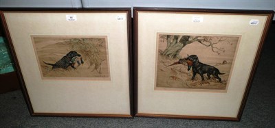 Lot 49 - George Vernon Stokes - Black Labrador retrieving a pheasant, coloured dry point etching, signed...