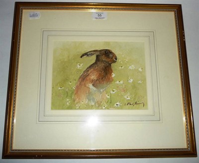 Lot 55 - I Macgillivary - Study of a Hare, signed watercolour, dated 1993 to verso, 17cm by 23cm