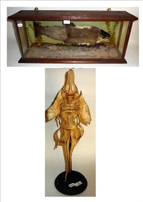 Lot 149 - A Novelty Taxidermy Specimen of a 'Fur Bearing Trout', in a glazed case, inscribed 'Foremark...