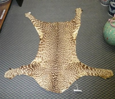 Lot 201 - Leopard (Panthera pardus), circa 1900, flat skin rug, no head, tail lacking, maximum length 126cm