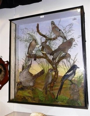 Lot 207 - A Taxidermy Group of Eight Birds, circa 1910, comprising jay, two green woodpeckers, sparrow...