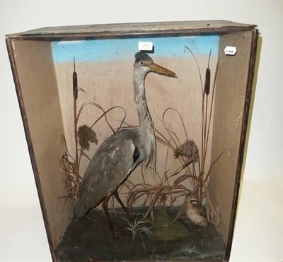 Lot 209 - Grey Heron and Grebe, circa 1900, full mounts amongst bulrushes, in glazed case, the case...