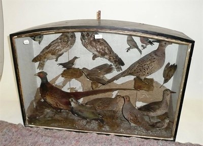 Lot 210 - An Arched Case of Taxidermy Birds, circa 1900, including a pair of Short-Earred Owls, Dipper,...