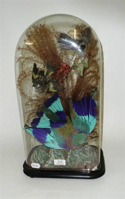 Lot 215 - A Group of Three Birds, including a Roller, beneath a glass dome, circa 1880, including a Coal Tit