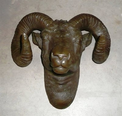 Lot 218 - A Bronze Cast Head of a Mouflon Sheep, modern, unsigned, with flat open back, 50cm wide, 30cm deep