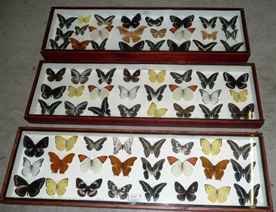 Lot 248 - World Butterflies, three narrow wall hanging display cases containing diverse unnamed...