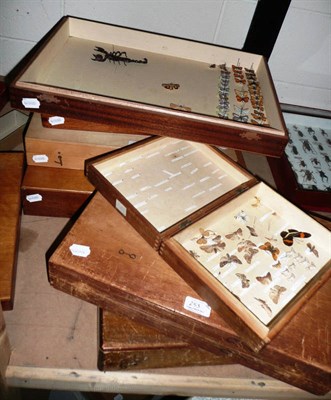 Lot 253 - Seven Wood Entomological Store Boxes, containing a collection of British and Continental...