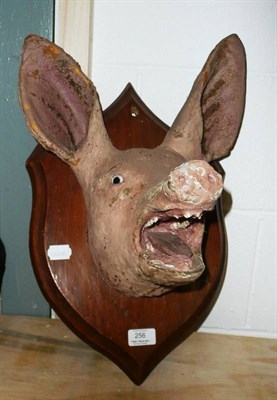 Lot 256 - Pig, head mount, jaw agape, on wood shield, 27cm from the wall