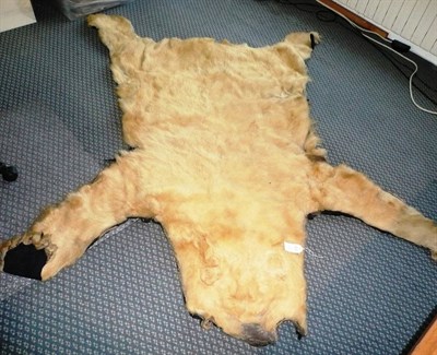 Lot 270 - Polar Bear skin rug, circa 1930, a/f  CITES Appendix II Annex B