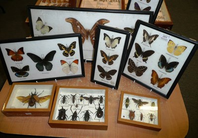 Lot 283 - Insects and Butterflies: A Group of Eight Framed Specimens, the beetles including European...